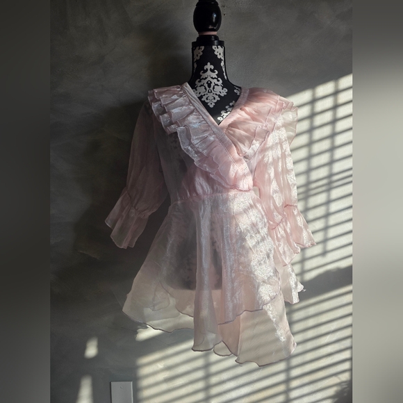 Baby Pink Organza Mesh Sheer Ruffled Mini Dress Top Sz 2X Wo Wo Wrap - Picture 9 of 16